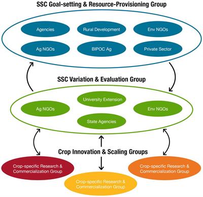 A polycentric network strategy for regional diversification of agriculture: theory and implementation